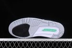 Air Jordan 3 Retro Green Glow 3