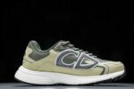 D1or B30 Olive White 2