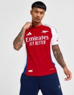 Arsenal FC 202425 Match Home Jersey.jpg