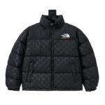 gc puffer nsw0h.jpg