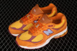 New Balance 2002R Salehe Bembury Peace Be The Journey 5.jpg