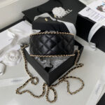 chanel 2022 cruise ap2685 clutch bag black 06 luxibags.ru .jpg