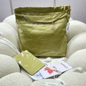 chanel 22 large handbag shiny calfskin as3262 light green 001 luxibags.ru .jpg