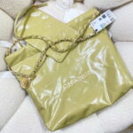 chanel 22 small handbag shiny calfskin as3260 light green 004 luxibags.ru .jpg