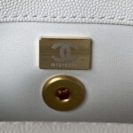 chanel 23p medium flap bag with brown top handle bag a92990 white 018 luxibags.ru .jpg