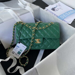 chanel a01113 flap handbag classic bag lambskin green gold 001 luxibags.ru .jpg