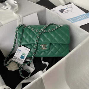 chanel a01113 flap handbag classic bag lambskin green silver 001 luxibags.ru .jpg