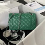 chanel a01113 flap handbag classic bag lambskin green silver 002 luxibags.ru .jpg