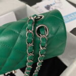 chanel a01113 flap handbag classic bag lambskin green silver 004 luxibags.ru .jpg