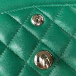 chanel a01113 flap handbag classic bag lambskin green silver 008 luxibags.ru .jpg