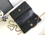 chanel a68115 woc wallet on chain with small flower handle black shiny crumpled lambskin 07 luxibags.ru .jpg