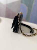 chanel a86092 woc bag lambskin 019 luxibags.ru .jpg