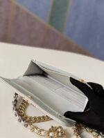 chanel a86092 woc bag lambskin 022 luxibags.ru .jpg
