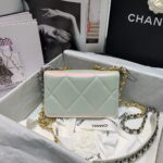 chanel a86092 woc chain wallet bag lambskin 067 luxibags.ru .jpg