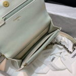 chanel a86092 woc chain wallet bag lambskin 074 luxibags.ru .jpg