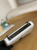 chanel a88632 woc 19 chain wallet bag lambskin white 005 luxibags.ru .jpg