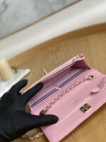 chanel a88632 woc 19 chain wallet bag pink lambskin gold 009 luxibags.ru .jpg