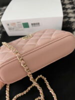 chanel a96035 clutch lambskin vanity box bag pink 05 luxibags.ru .jpg