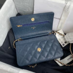 chanel ap0250 wallet on chain grained calfskin a33814 06 luxibags.ru .jpg