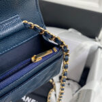 chanel ap0250 wallet on chain grained calfskin a33814 09 luxibags.ru .jpg