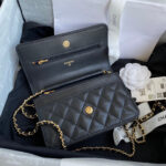 chanel ap0250 wallet on chain lambskin a33814 04 luxibags.ru .jpg