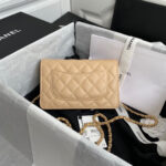 chanel ap0250 wallet on chain lambskin a33814 09 luxibags.ru .jpg