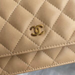 chanel ap0250 wallet on chain lambskin a33814 10 luxibags.ru .jpg