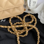 chanel ap0250 wallet on chain lambskin a33814 11 luxibags.ru .jpg