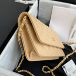 chanel ap0250 wallet on chain lambskin a33814 12 luxibags.ru .jpg