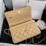 chanel ap0250 wallet on chain lambskin a33814 13 luxibags.ru .jpg