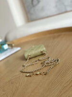 chanel ap3037 belt bag lambskin enamel gold tone metal green 006 luxibags.ru .jpg
