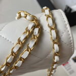 chanel ap3424 woc mini flap bag lambskin white 005 luxibags.ru .jpg