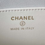 chanel ap3484 clutch with chain shiny lambskin gold tone metal white 008 luxibags.ru .jpg