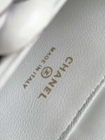 chanel ap3584 pouch mixed fibers calfskin gold tone metal white 009 luxibags.ru .jpg