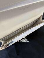 chanel ap3645 woc wallet on chain white shiny crumpled calfskin strass ruthenium finish metal 07 luxibags.ru .jpg