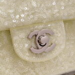chanel as1116 samll flap sequin bag sparkling bingbing 20cm beige 008 luxibags.ru .jpg