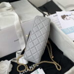 chanel as1787 mini flap bag lambskin gray gold 005 luxibags.ru .jpg