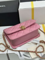 chanel as2615 woc wallet on chain with gold charm mini vintage calfskin bag pink 007 luxibags.ru .jpg