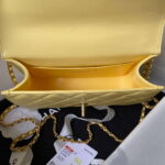 chanel as2649 woc wallet on chain with gold charm small vintage calfskin bag yellow 007 luxibags.ru .jpg