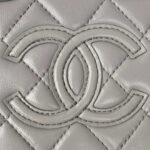 chanel as3344 small vanity case calfskin gold tone metal gray 003 luxibags.ru .jpg