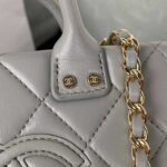 chanel as3344 small vanity case calfskin gold tone metal gray 004 luxibags.ru .jpg