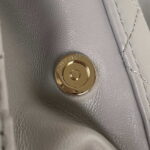 chanel as3344 small vanity case calfskin gold tone metal gray 005 luxibags.ru .jpg
