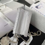 chanel as3344 small vanity case calfskin gold tone metal gray 006 luxibags.ru .jpg