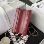 chanel as3344 small vanity case calfskin gold tone metal wine red 006 luxibags.ru .jpg