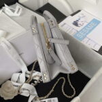 chanel as3345 vanity case calfskin gold tone metal gray 006 luxibags.ru .jpg