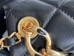 chanel as3366 mini flap bag 20cm lambskin 004 luxibags.ru .jpg