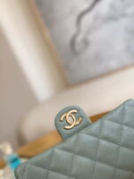 chanel as3757 mini flap bag grained calfskin gold tone metal light green 003 luxibags.ru .jpg