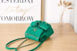 chanel as3860 backpack grained shiny calfskin gold tone metal green 005 luxibags.ru .jpg