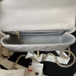 chanel as3970 flap bag with top handle lambskin gold tone metal gray 007 luxibags.ru .jpg