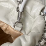 chanel as3980 22 mini handbag shiny calfskin silver tone metal white 009 luxibags.ru .jpg